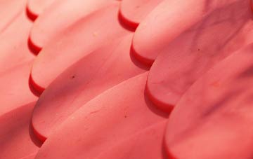 Hillcommon plastic roof costs