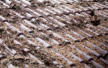 Hillcommon roof cleaning companies