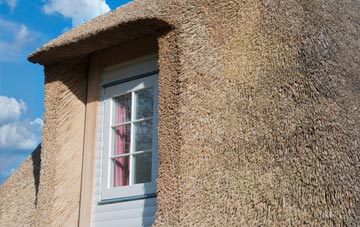 Hillcommon thatch roof disadvantages